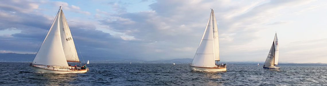 Regatta - 3 boote